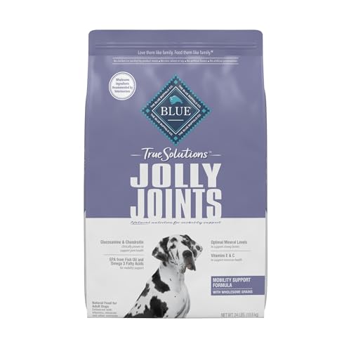 Top 10 Dog Food Joints Your Ultimate Guide to Healthy and Delicious