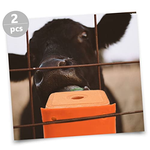 DOITOOL Suporte De Bloco De Sal Para Bandeja 2 Peças Tijolo De Sal Suporte Para Lamber Sal De Gado A