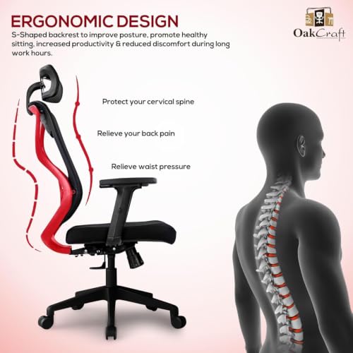 Image of Oakcraft Ergonomic Office Chair with Multi-Lock Tilt, Seat Slider & Dynamic Lumbar Support