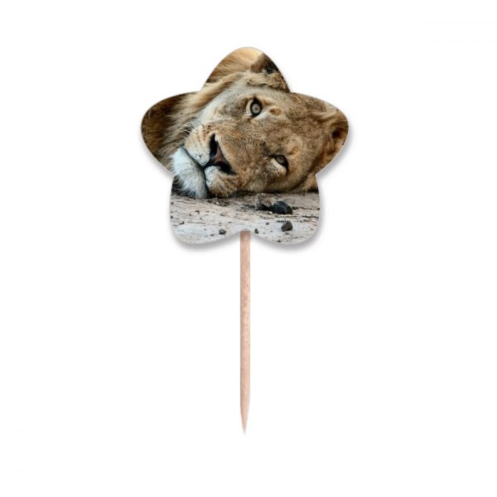 Cure-dents lion et étoile pour cupcake en lot de drapeaux décoratifs