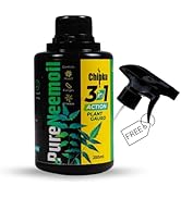 Small manufacture image 8