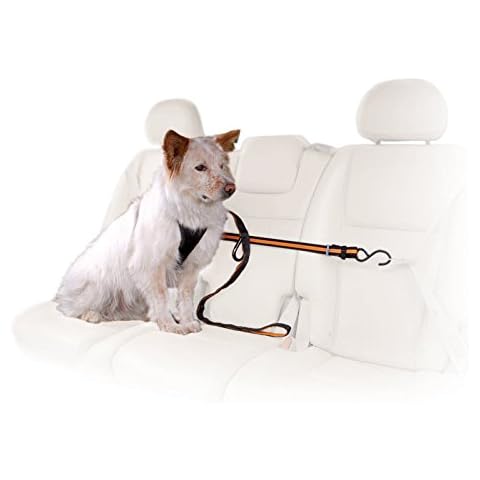 Kurgo Auto Zipline for Dogs, Adjustable Dog Safety Belt Leash, Pet Seat Belt Tether, Reduce Distracted Driving, Includes Dog Leash & Carabiner Clips, 6 feet Cover