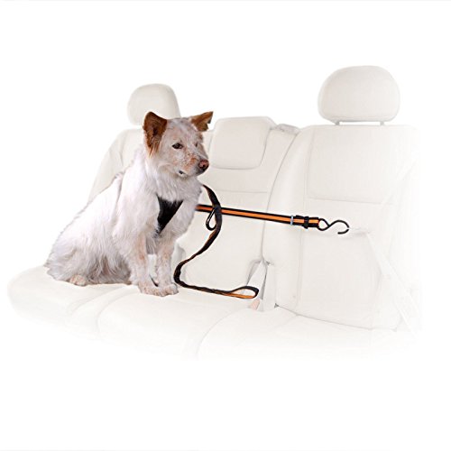 Kurgo Direct to Seatbelt Tether Car Zipline Harness For Dogs