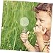 Mikinona Nature Exploration Magnifier Boys and Girls Hand Toy Magnifying Glass Educational Tool for Outdoor Adventures