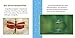 Fast Facts About Dragonflies (Fast Facts About Insects and Spiders)