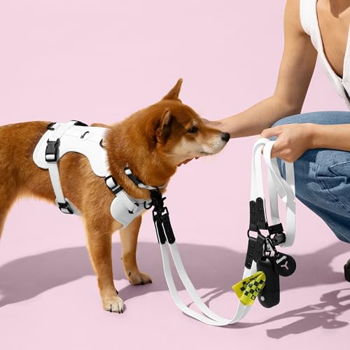 THE LICKER Store HNS1003F Arlo Large Adjustable Soft Padded No Pull Pet Harness with 3 Buckles and 3 Leash Clips, Seltzer by THE LICKER STORE - Image 2