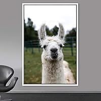 Framed Canvas Wall Art Llama Animals Camels Expressive Farmhouse/Country Living Room Multicolor Photography - 16x24 inches