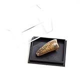 Tyrannosaurus Rex Jurassic Era Spinosaurus Tooth In Case