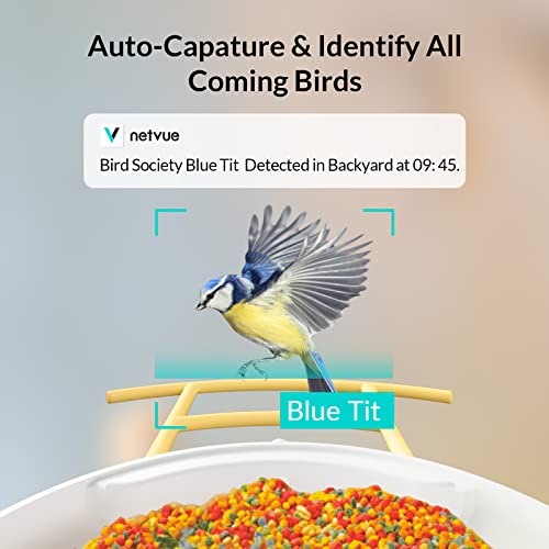 Netvue Birdfy Ai - Smart Bird Feeder Camera, Bird Watching Camera Auto Capture Bird Videos, Ai Identify Bird Species, Ideal Gift For Father (Yellow) #TOP2