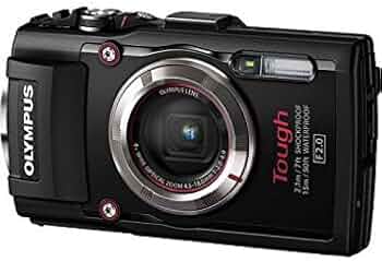 41cZPc7TulL._AC_UF350,