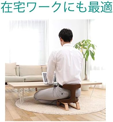 Amazon アーユル チェアー あぐらイス レッド 骨盤を立て坐骨で座る 腰と姿勢のサポート椅子 座椅子 床座り テレワーク 集中できる環境 オフィス家具小物 パーツ 文房具 オフィス用品