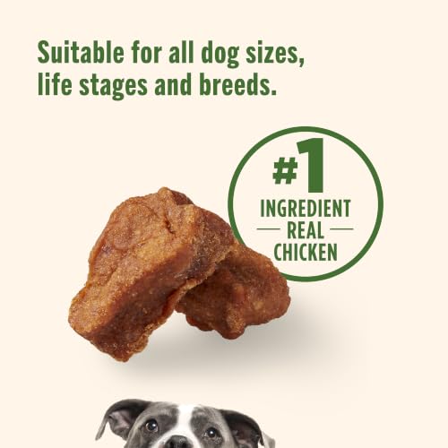Image of Roasted Chicken, 12 oz. Bag : Rachael Ray Nutrish Real Meat Dog Treats