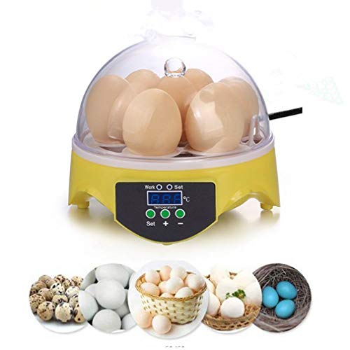 110V Mini Egg Incubator 7 Eggs Poultry Hatcher Machine with Temperature Control Small General Digital Incubator Breeder for Hatching Chicken Duck Goose Quail Birds Turkey Eggs