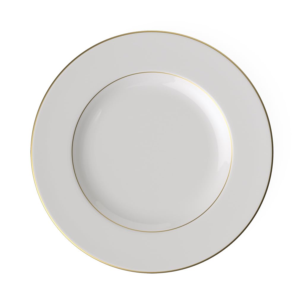 Amazon.com | Villeroy & Boch 1748 Signature Anmut Gold dinner