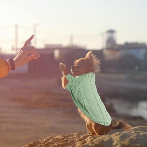 Queenmore Hundepullover Kleine Hunde Wärme Dackel Hundepulli Strick Pullover Hund Strickmantel Mit Zopfmuster Hundepullover Französische Bulldogge Bulldog Chihuahua Katzen Corgi, Grün, S