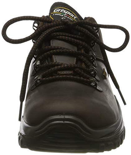 grisport men's dartmoor hiking shoes