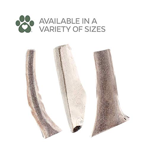 Gnawtlers® - Premium Split Elk Antlers For Dogs, Naturally Shed Elk Antlers For Dogs Split, All Natural Split Elk Antler Dog Chew, Dog Bones, Specially Selected From The Heartland Regions (Small) #TOP7