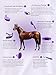 Harrison Howard Horse Grooming Brushes Kit 7 pieces with Organizer Tote Equine Care Series Horse Brush Sets Purple