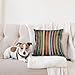 Ambesonne Stripes Throw Pillow Cushion Cover, Vertical Lines Colorful Retro Bands Damage Effects Old Fashion Weathered Display, Decorative Square Accent Pillow Case, 20
