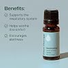 Plant Therapy Deodorizing Essential Oil Blend, 10 mL (1/3 oz), Pure Essential Oils, Undiluted, Therapeutic Grade, Ideal for Household Cleaning & Deodorizing