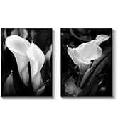 Calla Lily Canvas Wall Art: White Flower Artwork Painting Print on Wrapped Canvas Wall Decor Artw...