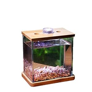 Aquaria Persoonlijkheid Creative Glass Fish Tank Aquarium Living Room Bureau Mode Desktop Small Mini Aquarium Aquarium…
