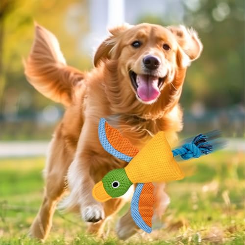 Langlebiges Quietschspielzeug, interaktives Kauspielzeug für Hunde, 24 x 28 x 5 cm, Vogelspielzeug mit Seilknoten, gefülltes Baumwollmaterial, Welpenspielzeug mit Beiß- Design, Spielset für-2