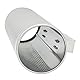 Tbest Guiro,Merengue Guiro,Guiro Edelstahl Metall Guiro Musical Percussion Instrument Trainingswerkzeug Mit Schaber Für Konzerte Bühnenauftritte Und Anfänger