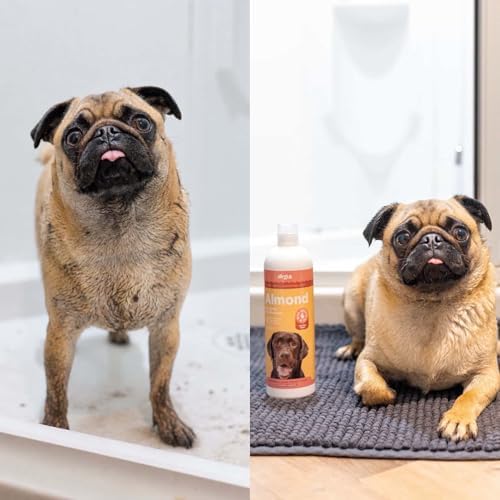 OVZLA Dog Shampoo – Avocado Nourish Formula, Gentle Moisturizing Shampoo for Dogs with Dry & Sensitive Skin, Helps Soothe Irritation, Leaves Coat Soft, Smooth & Healthy – pH Balanced, SLES-Free — view 8