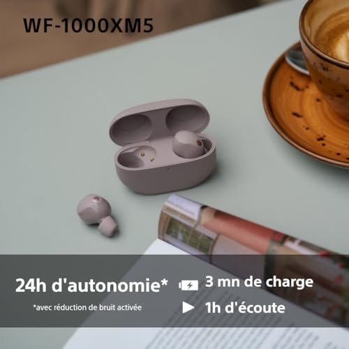 Sony WF-1000XM5 -écouteurs sans Fil à réduction de Bruit, Bluetooth, écouteurs Intra-Auriculaires avec Micro, 24h d'autonomie, Charge Rapide, IPX4, Compatible iOS et Android - Rose