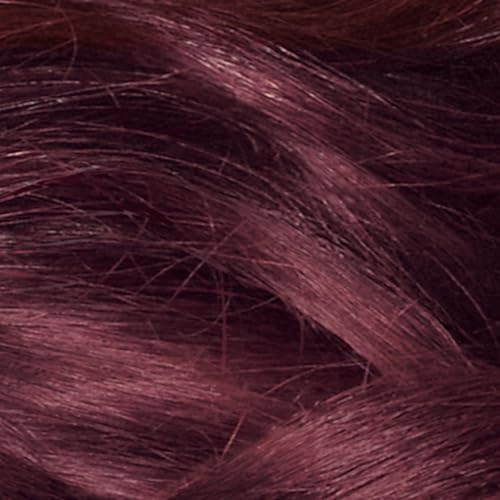 Revlon Colorsilk Sans Amoniaque 48 Burgundy - vue 4