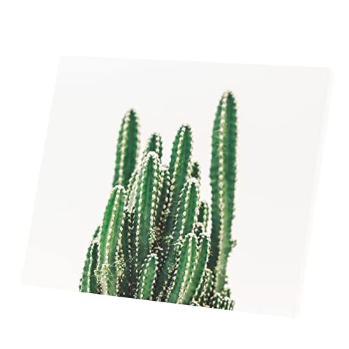 Affiche Cactus Cereus Validus pour salon contemporain zen