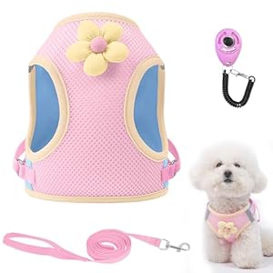 Dog Harness with Leash Set, Breathable Adjustable Dog & Cat Harness with Reflective Strips, Step-in Dog Harnesses with Safety Buckle, Soft Cat Vest for Outdoor Walking, Training