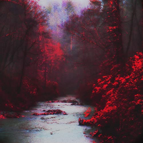 The Lost And The Damned [Explicit]