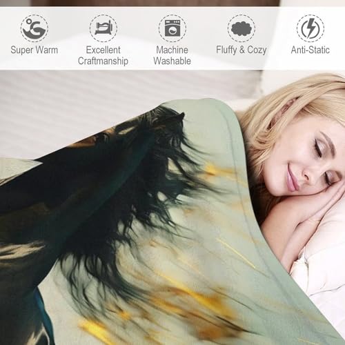 Couvertures toutes saisons : la solution anti-froid pour lit et canapé - 4