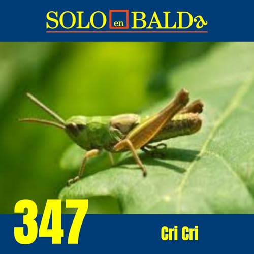 347 Cri Cri