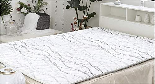 Steamboy HSMT-700Q Water Heated Mattress Topper, Left/Right Separation (Queen Size)
