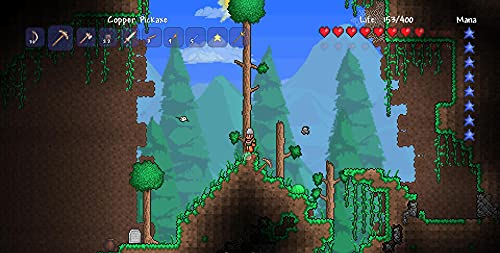 Terraria - vue 4