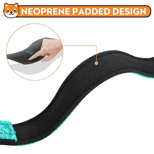 Collar reflectante para perro talla S color teal miniatura 4