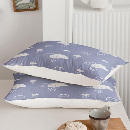 Image of QOOMO Cartoon Clouds Kids Comforter Set,Cute Weather Bedding Set Full Size for Room Decoration,Haze Blue Bed Set Microfiber Lightweight All Season,1 Comforter Set 2 Pillowcases