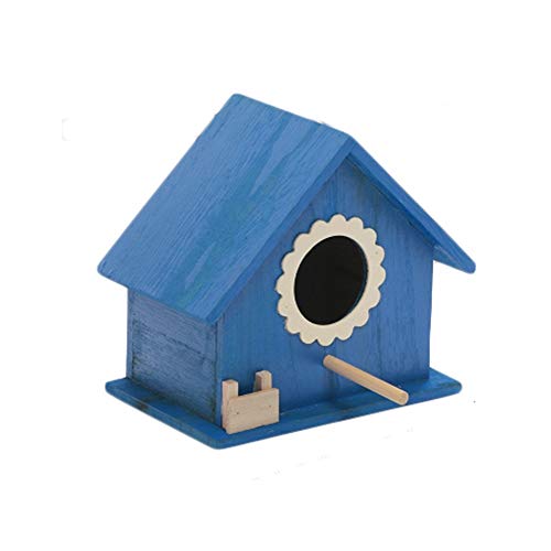 Nichoir en bois bleu taille S pour perroquet et oiseau sauvage