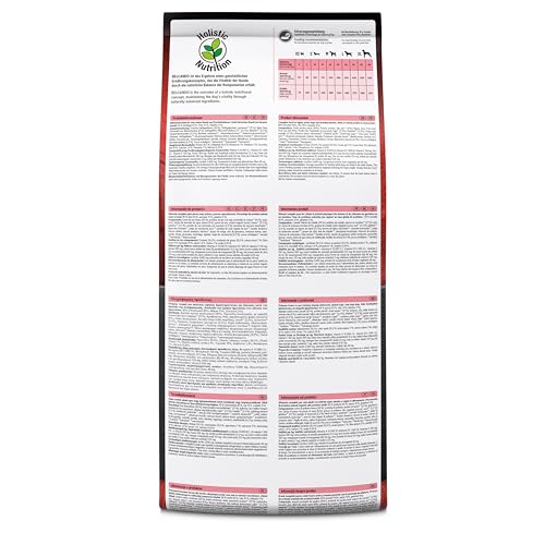 Belcando Adult Power Hundefutter | Trockenfutter für sehr aktive Hunde & Sporthunde… – Ansicht 4