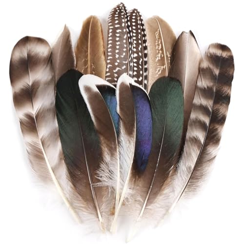 Muorruo 12 Peças de penas de faisão natural, penas em 6 designs diferentes para artesanato como chapéus, arranjos florais, Halloween, carnaval, caça-sonhos e decorações