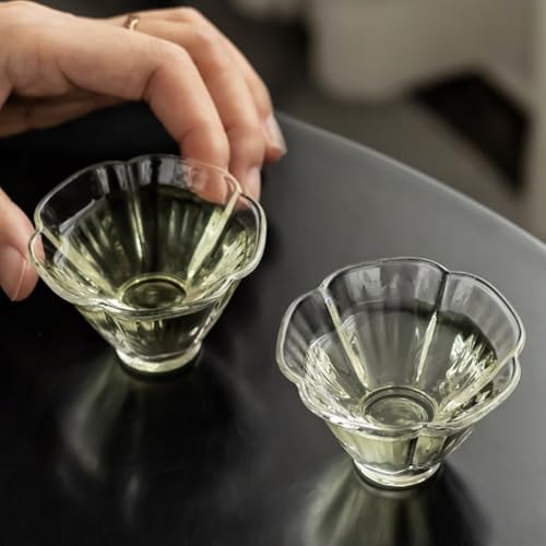 vonghome |JeB[ ϔMKX ʗt   Ԃт̑` 50ml/2Zbg   NA 傱 eB[Jbv v[g }X^[Jbv {  􂢂₷  ƒp qp (2Zbg)