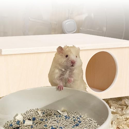 Maison hamster en bois sécurisée pour éviter les blessures