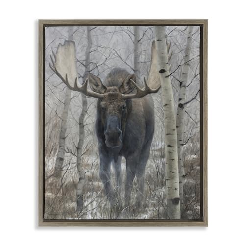 Moose in Winter Birch Forest, 17 x 21 Inch Canvas in Floater Frame