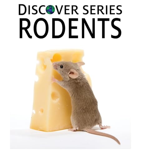 Rodents (Discover Series)