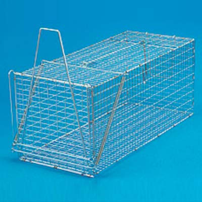 猫捕獲器の人気おすすめランキング10選【ダンボールで自作する方法も 
