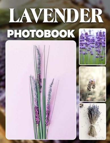 Lavender Photo Book: Aromatic Flower Field Photography Gift Showcasing Fragrant Lavender Fields And Serene Purple Blooms Perfect For Relaxation And Nature Enthusiasts