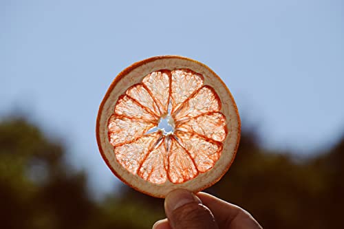 Dehydrated Grapefruit Slices, Citrus, Immune Booster to infuse water, cocktails garnish,Self Care, Wedding/Fall/ Holiday Decor